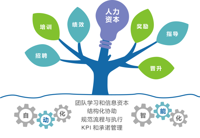人力资源管理系统
